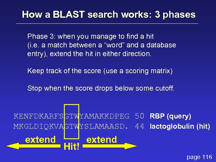 How a BLAST search works: 3 phases Phase 3: when you manage to find