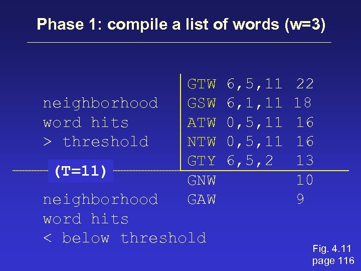 Phase 1: compile a list of words (w=3) neighborhood word hits > threshold (T=11)