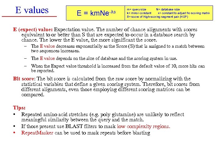 E values E= km. Ne-λs m= query size N= database size k= minor constant