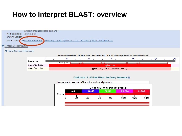 How to interpret BLAST: overview 