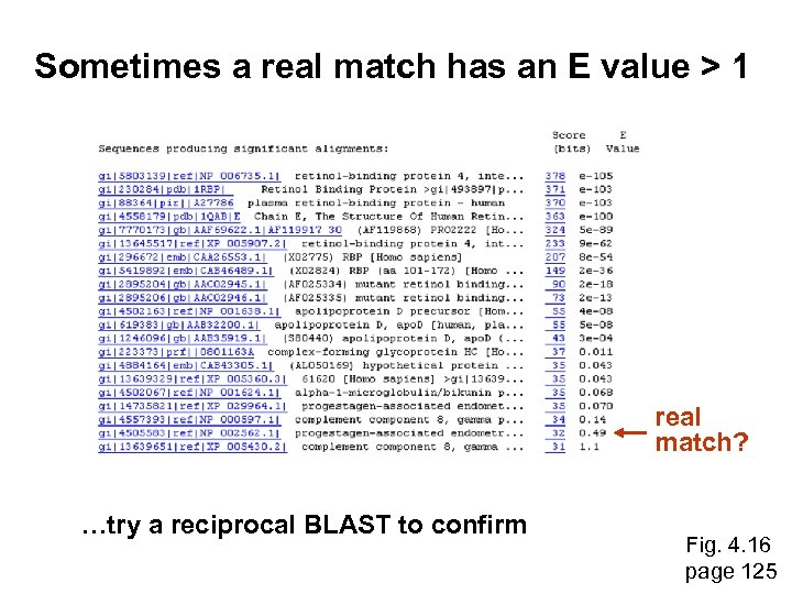 Sometimes a real match has an E value > 1 real match? …try a