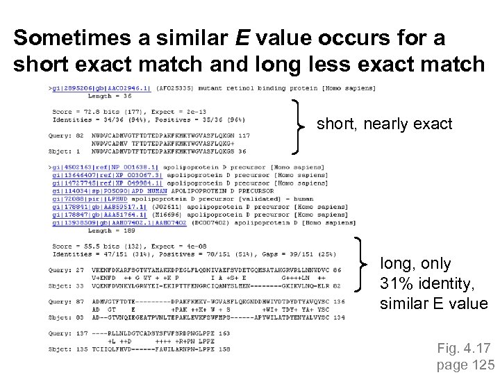 Sometimes a similar E value occurs for a short exact match and long less