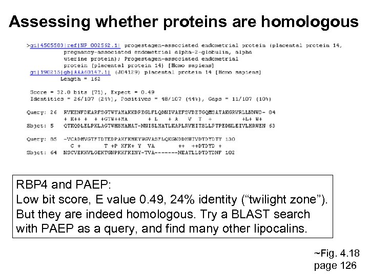 Assessing whether proteins are homologous RBP 4 and PAEP: Low bit score, E value