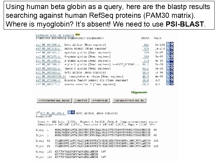 Using human beta globin as a query, here are the blastp results searching against