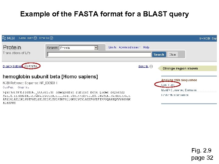 Example of the FASTA format for a BLAST query Fig. 2. 9 page 32