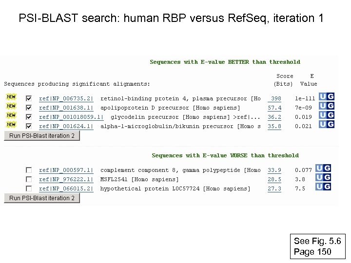 PSI-BLAST search: human RBP versus Ref. Seq, iteration 1 See Fig. 5. 6 Page