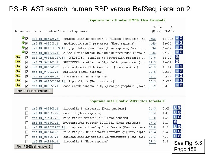 PSI-BLAST search: human RBP versus Ref. Seq, iteration 2 See Fig. 5. 6 Page