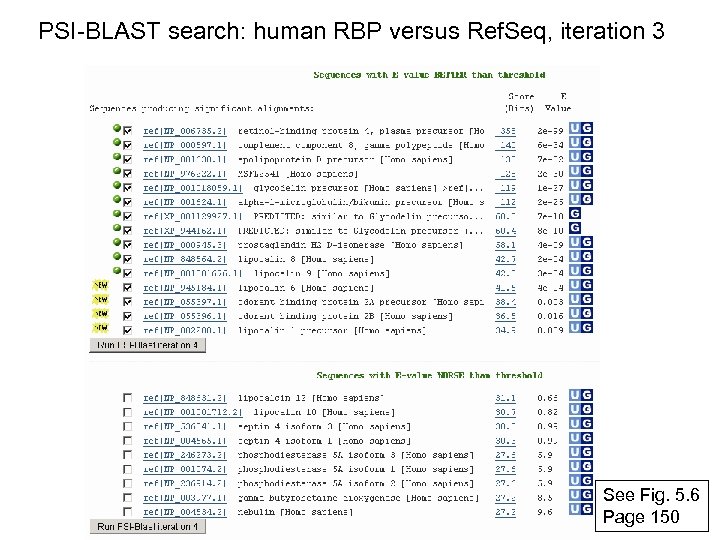 PSI-BLAST search: human RBP versus Ref. Seq, iteration 3 See Fig. 5. 6 Page