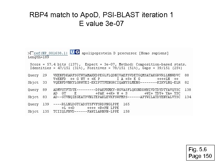 RBP 4 match to Apo. D, PSI-BLAST iteration 1 E value 3 e-07 Fig.