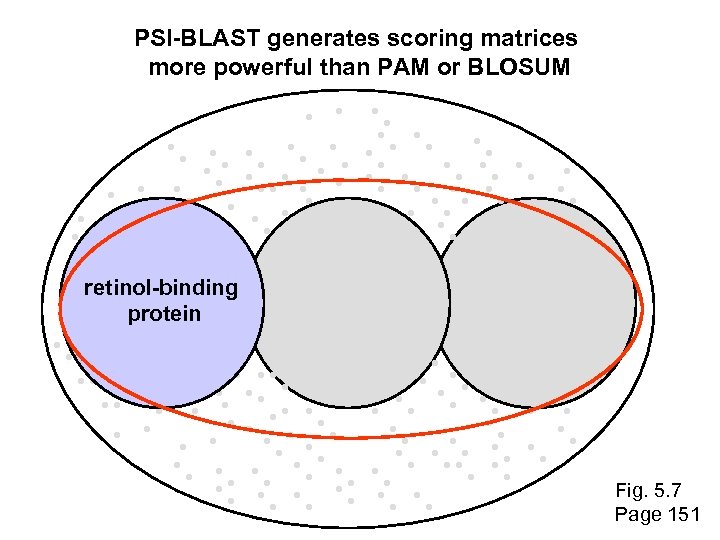 PSI-BLAST generates scoring matrices more powerful than PAM or BLOSUM retinol-binding protein Fig. 5.