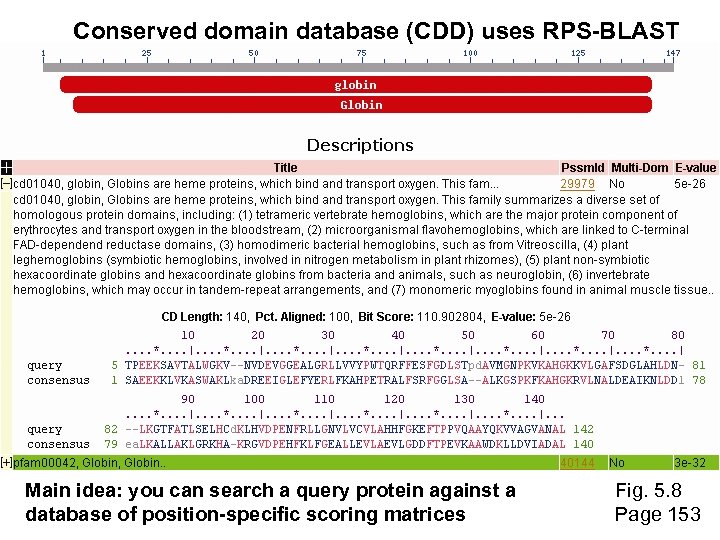 Conserved domain database (CDD) uses RPS-BLAST Main idea: you can search a query protein