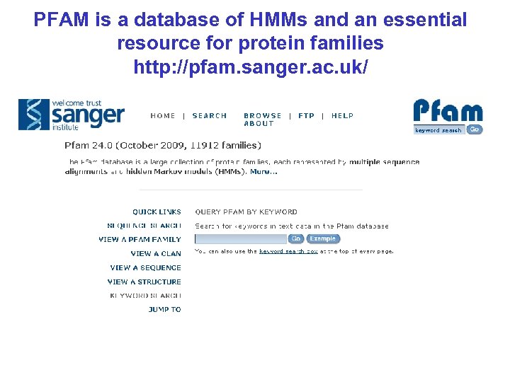 PFAM is a database of HMMs and an essential resource for protein families http: