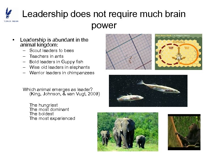 Leadership does not require much brain power • Leadership is abundant in the animal