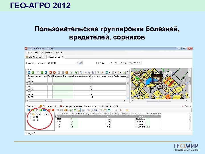ГЕО-АГРО 2012 Пользовательские группировки болезней, вредителей, сорняков 