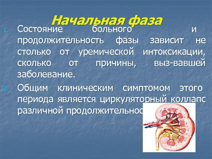 1. 2. Начальная фаза Состояние больного и Состояние больного продолжительность фазы зависит не столько