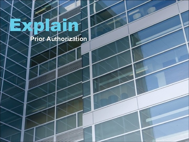 Explain Prior Authorization 