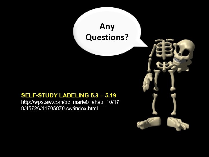 Any Questions? SELF-STUDY LABELING 5. 3 – 5. 19 http: //wps. aw. com/bc_marieb_ehap_10/17 8/45726/11705870.