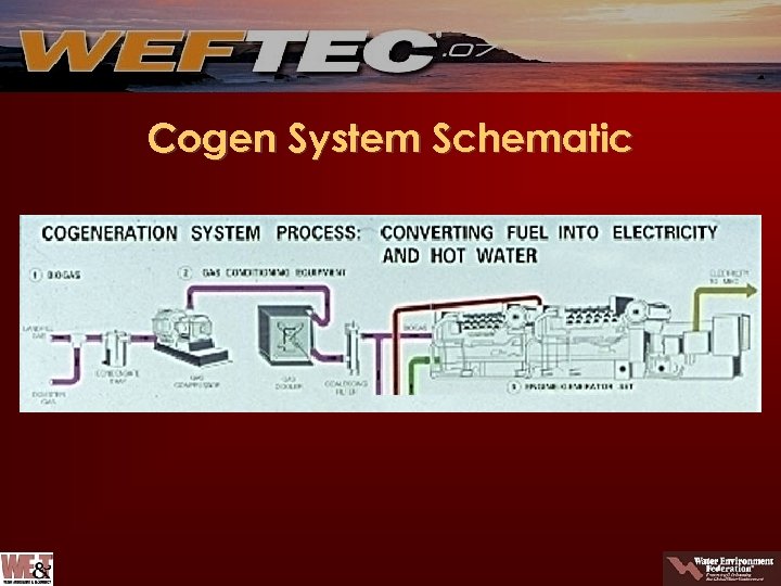 Cogen System Schematic 