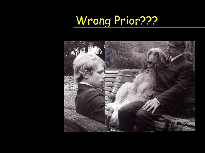 Wrong Prior? ? ? 