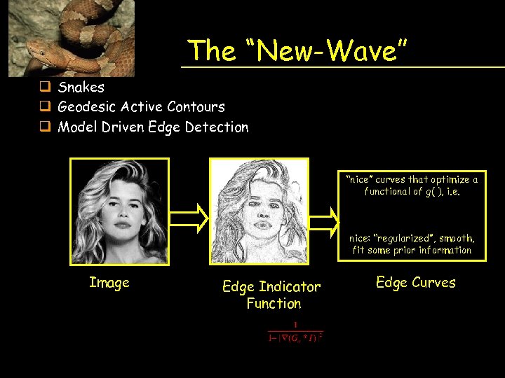 The “New-Wave” q Snakes q Geodesic Active Contours q Model Driven Edge Detection “nice”