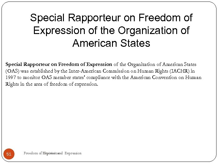 Special Rapporteur on Freedom of Expression of the Organization of American States (OAS) was