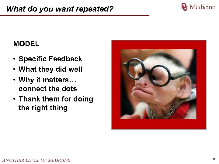 What do you want repeated? MODEL • Specific Feedback • What they did well