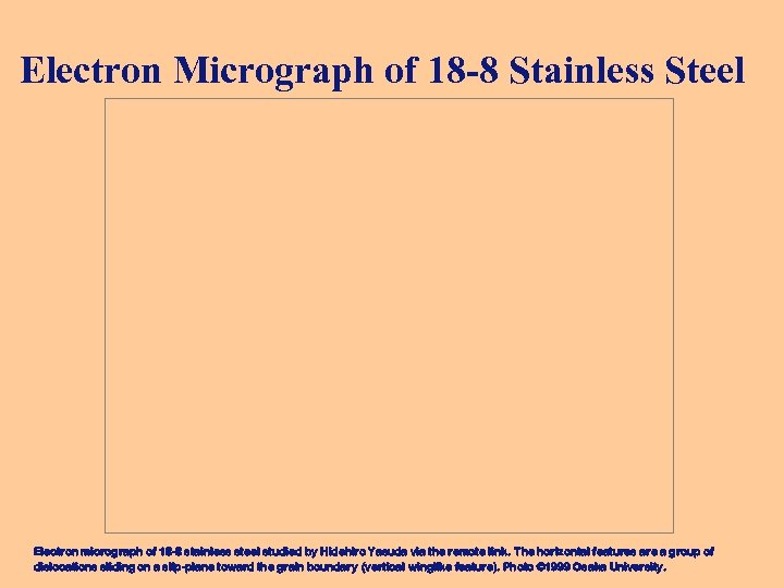 Electron Micrograph of 18 -8 Stainless Steel Electron micrograph of 18 -8 stainless steel