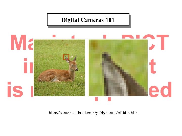 Digital Cameras 101 http: //cameras. about. com/gi/dynamic/offsite. htm David E. Pitts 