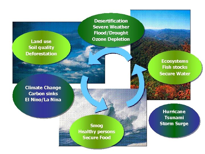 Land use Soil quality Deforestation Desertification Severe Weather Flood/Drought Ozone Depletion Ecosystems Fish stocks