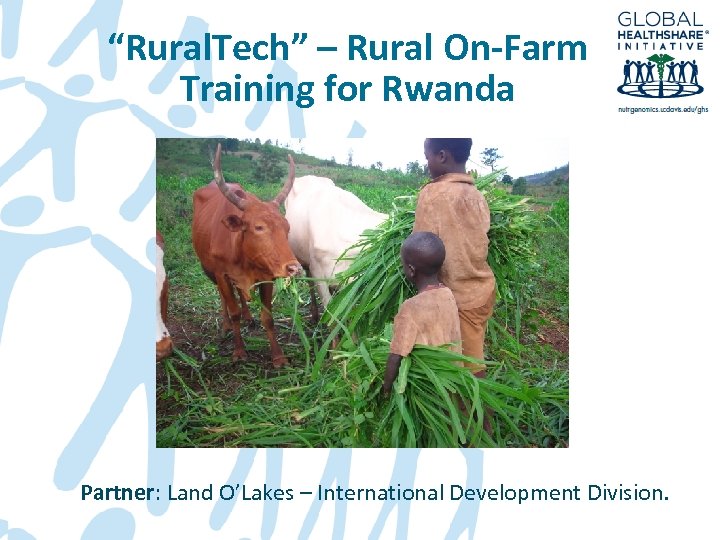 “Rural. Tech” – Rural On-Farm Training for Rwanda Partner: Land O’Lakes – International Development