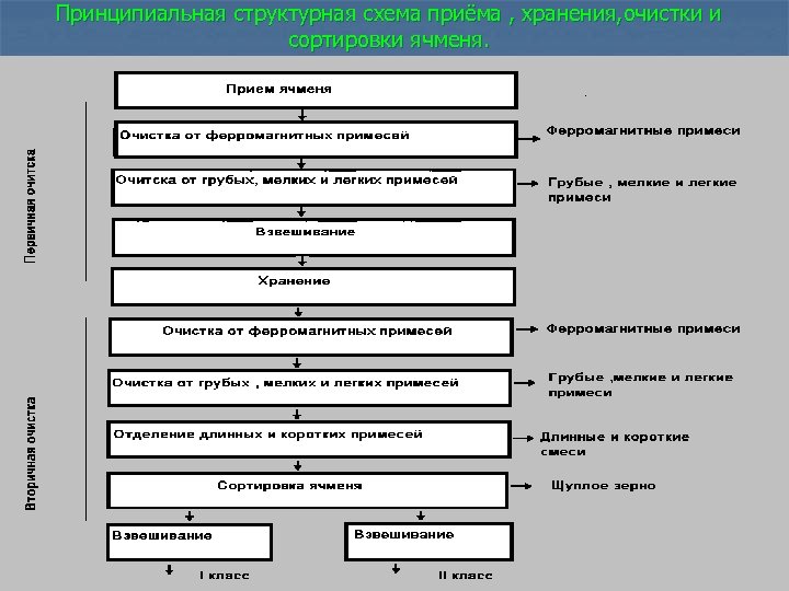 Принципиальная структурная схема приёма , хранения, очистки и сортировки ячменя. 