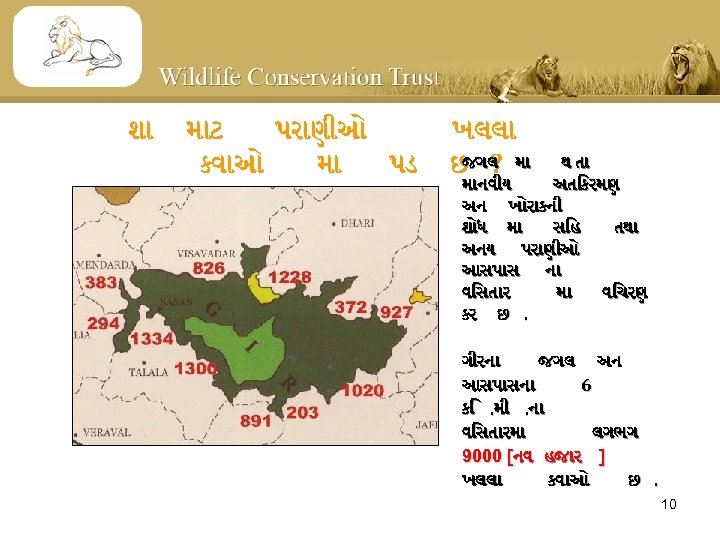 શ મ ટ પર ણ ઓ કવ ઓ મ પડ ખલલ જગલ છ ?