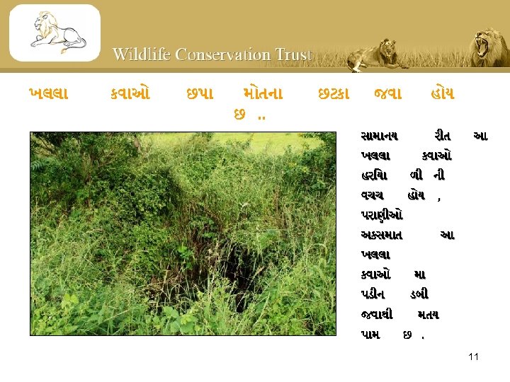 ખલલ કવ ઓ છપ મ તન છ. . છટક જવ હ ય સ મ