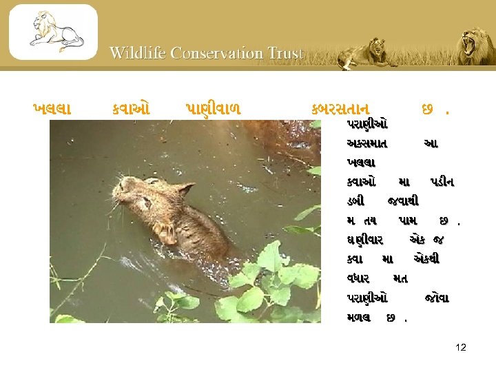 ખલલ કવ ઓ પ ણ વ ળ કબરસત ન છ. પર ણ ઓ અકસમ