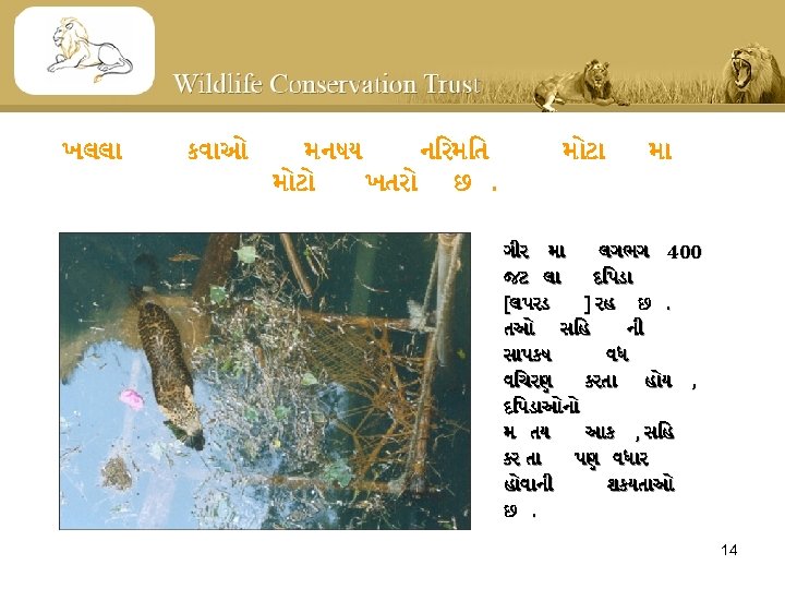 ખલલ કવ ઓ મનષય ન રમ ત મ ટ ખતર છ. મ ટ મ