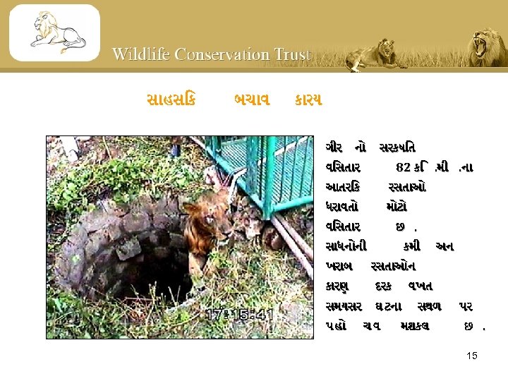 સ હસ ક બચ વ ક રય ગ ર ન સરકષ ત વ સત