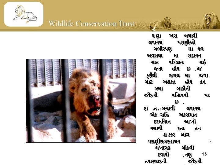 ઘ ણ ખર બચ વ લવ યલ પર ણ ઓ ગભ રપણ ઘ યલ