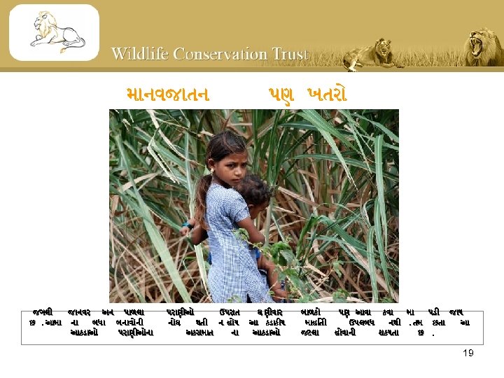 મ નવજ તન જગલ જ નવર અન પ ળલ છ. આમ ન બધ બન