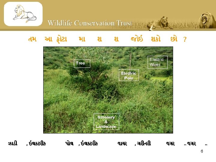 તમ આ ફ ટ મ શ શ જ ઇ શક છ ? Electric Wires