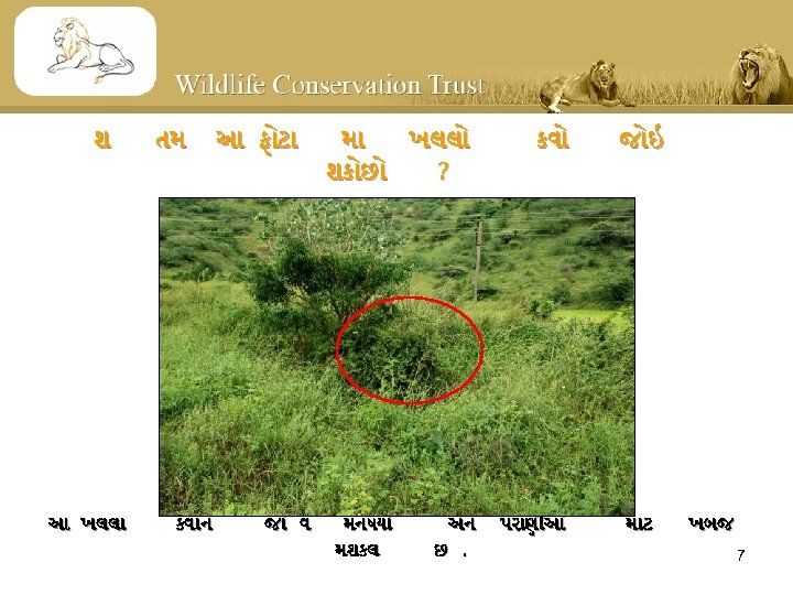 શ આ ખલલ તમ કવ ન આ ફ ટ જ વ મ ખલલ શક