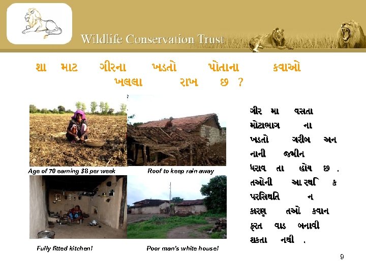 શ મ ટ ગ રન ખડત પ ત ન ખલલ ર ખ છ ?