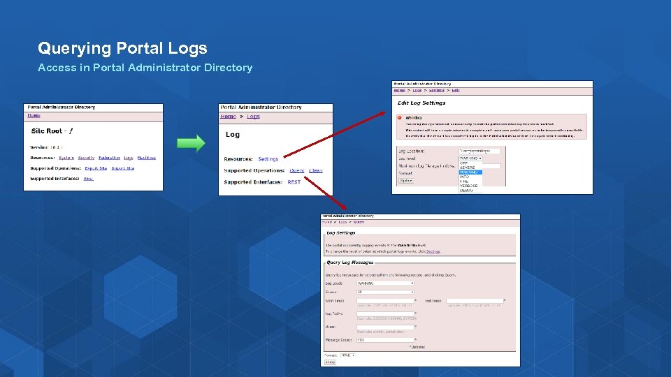 Querying Portal Logs Access in Portal Administrator Directory 