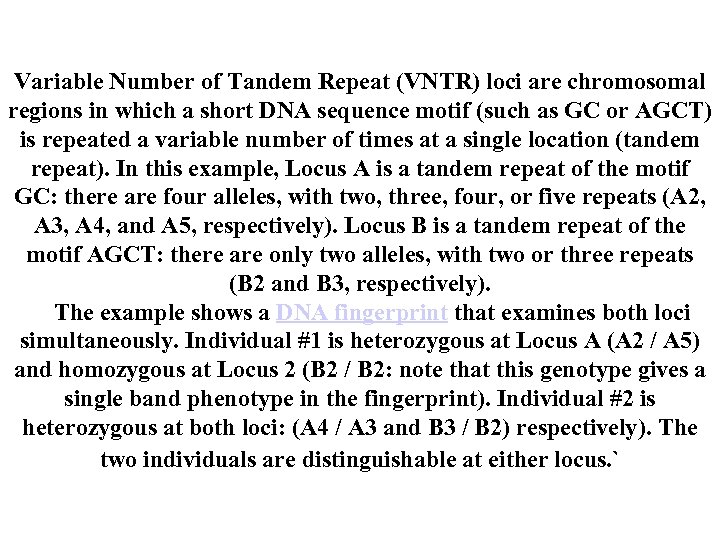 Variable Number of Tandem Repeat (VNTR) loci are chromosomal regions in which a short