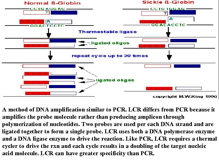 A method of DNA amplification similar to PCR. LCR differs from PCR because it