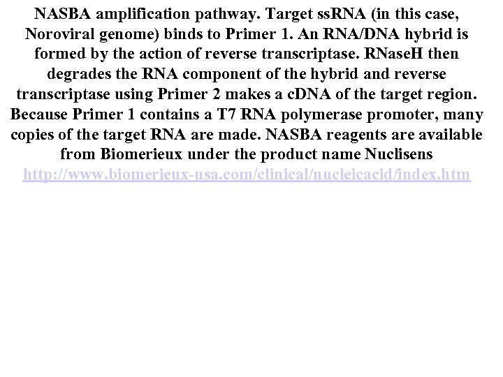 NASBA amplification pathway. Target ss. RNA (in this case, Noroviral genome) binds to Primer