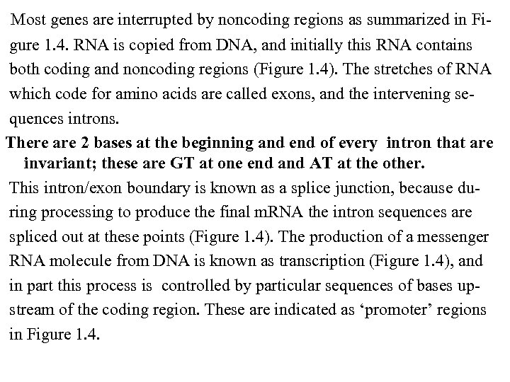  Most genes are interrupted by noncoding regions as summarized in Fi gure 1.