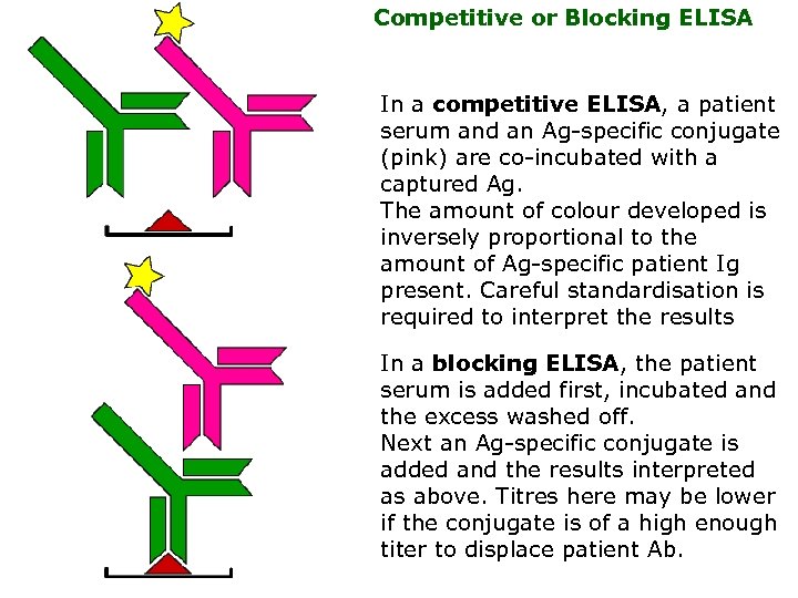 Competitive or Blocking ELISA In a competitive ELISA, a patient serum and an Ag-specific