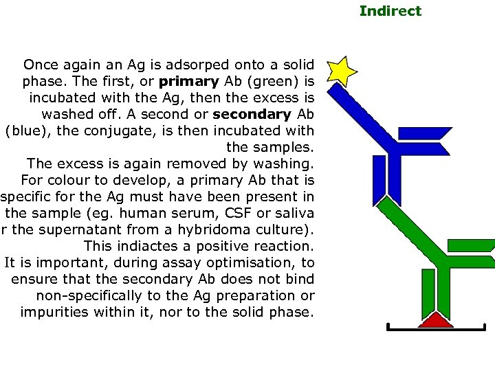 Once again an Ag is adsorped onto a solid phase. The first, or primary