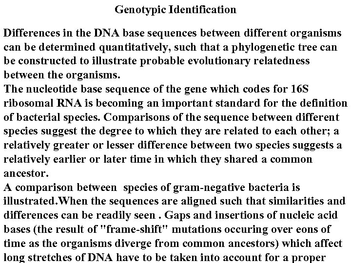 Genotypic Identification Differences in the DNA base sequences between different organisms can be determined