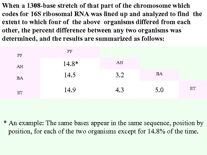 When a 1308 -base stretch of that part of the chromosome which codes for